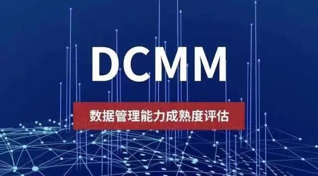 培养用好首席数据官