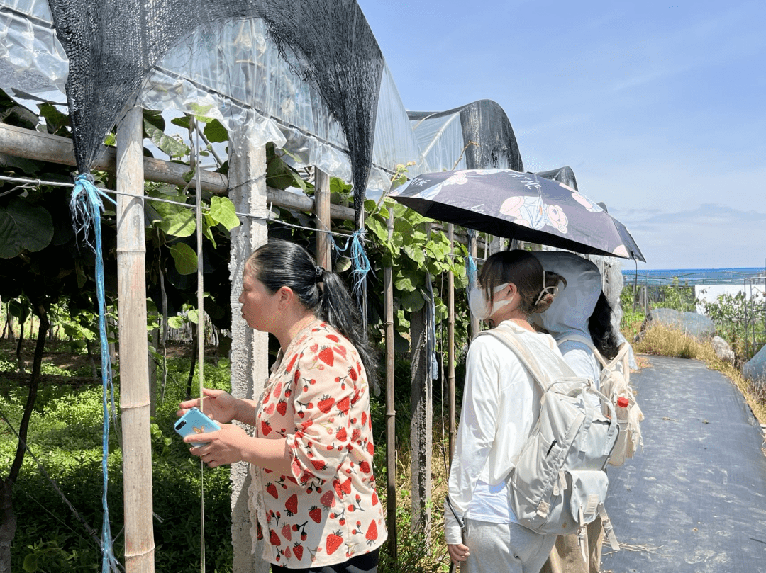 乡村行·看振兴|浙江慈溪:“科技创新+数字化应用”助力农业现代化