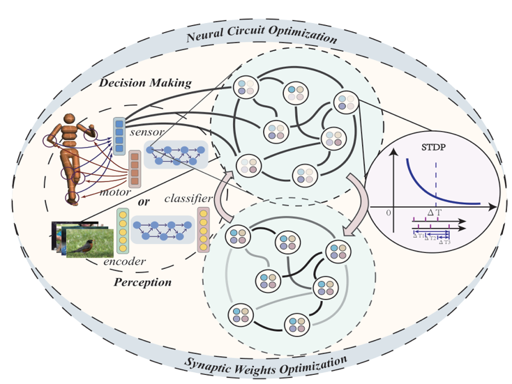 类脑智能:模仿人脑高效处理信息