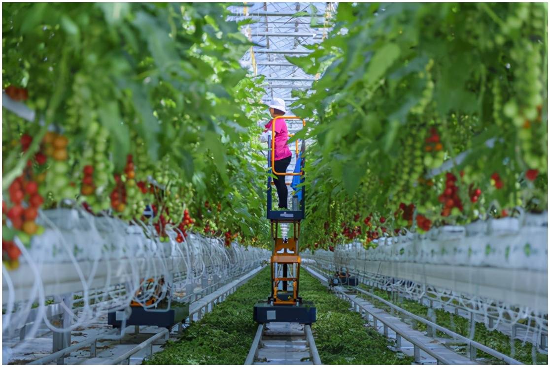 探索文旅产业高质量发展新路径，“时尚青岛”释放吸引力、引领力