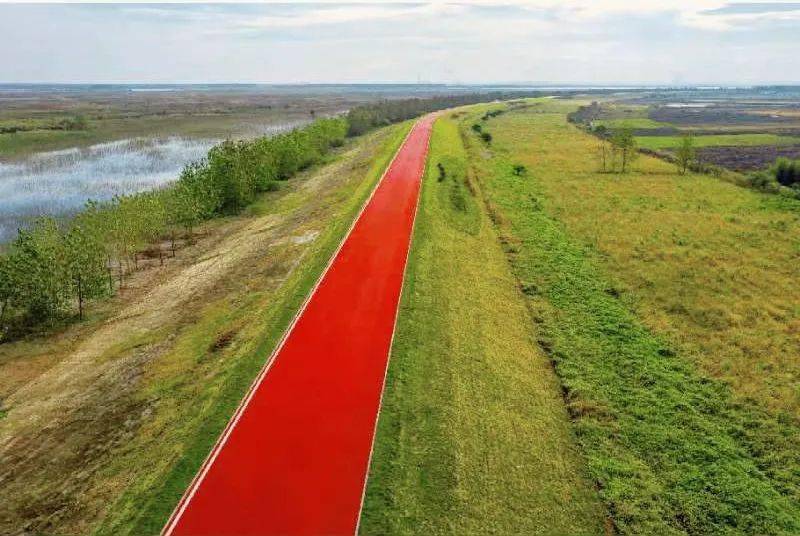 神州数码竞逐大模型生态赛道：打通企业应用最后一平方公里