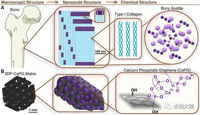 石墨烯纳米材料可安全开发