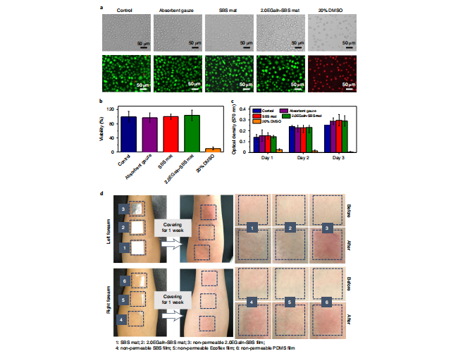我国科学家基于液态金属构建“人工树叶”取得新进展