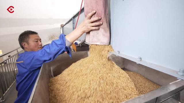 春耕新变|“泥腿子”也要做试验——探访春耕里的科研田