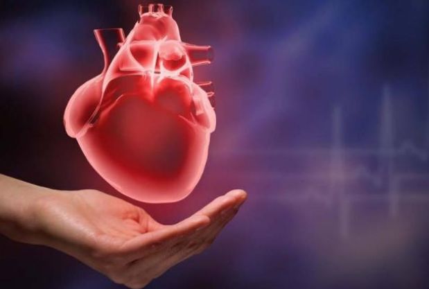 一颗“人造心” 跳出科技脉动