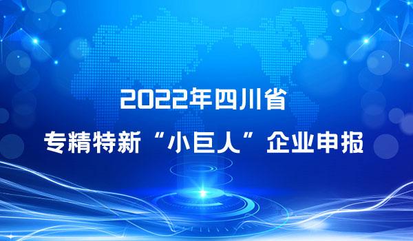 下足服务功夫培育“专精特新”