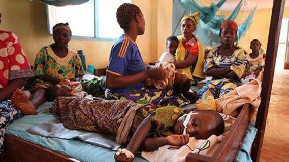 新华全媒+|我国科学家培育出全球含油量最高油菜种质