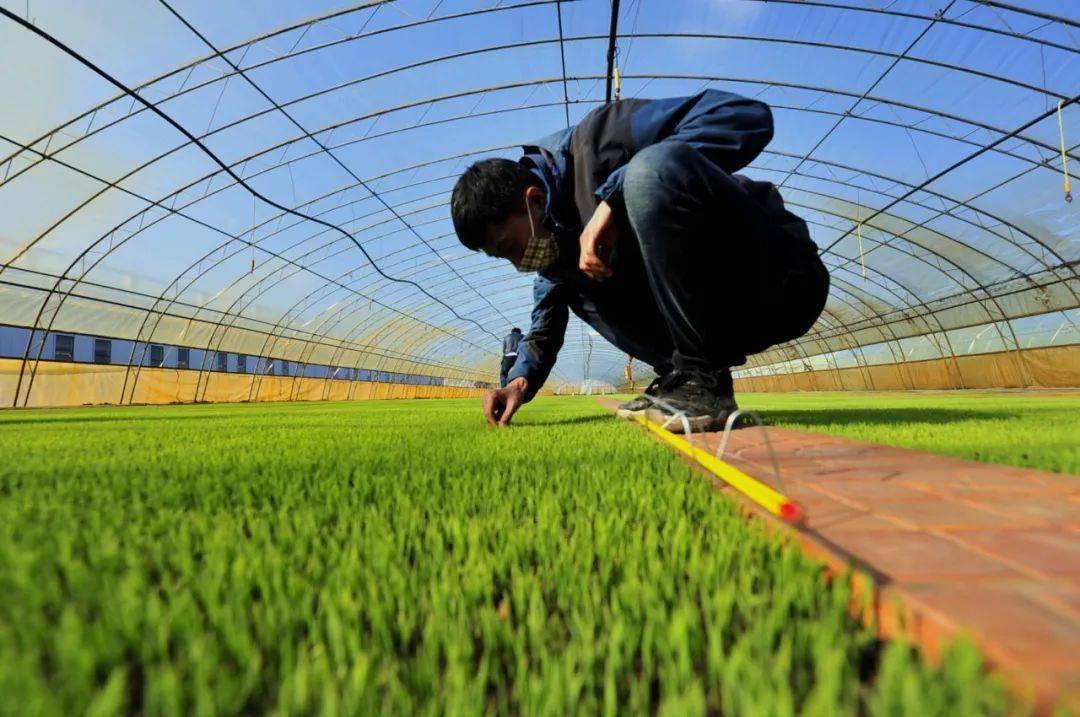 秀我中国|黑土地上硬核“无人”春耕