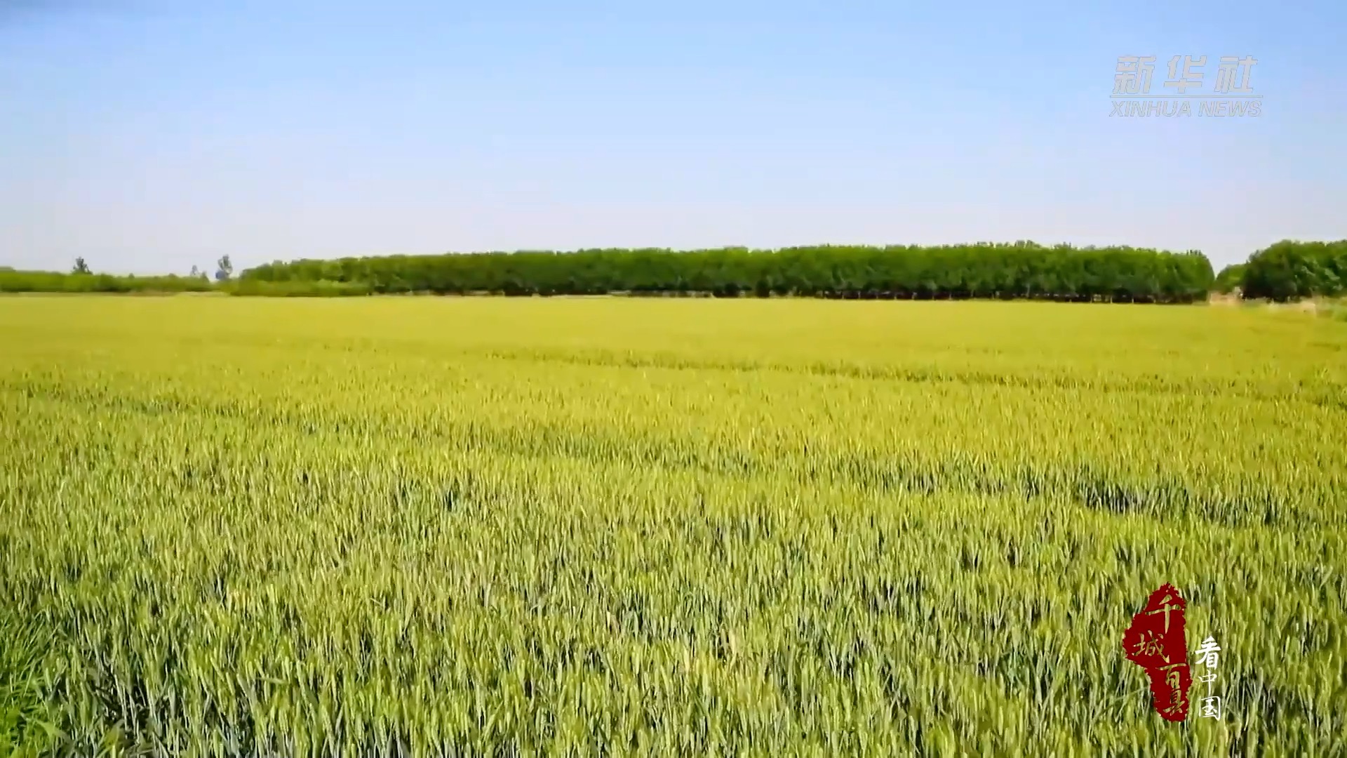 千城百县看中国丨山东临沂：“数字引擎”驱动商城加快智慧转型