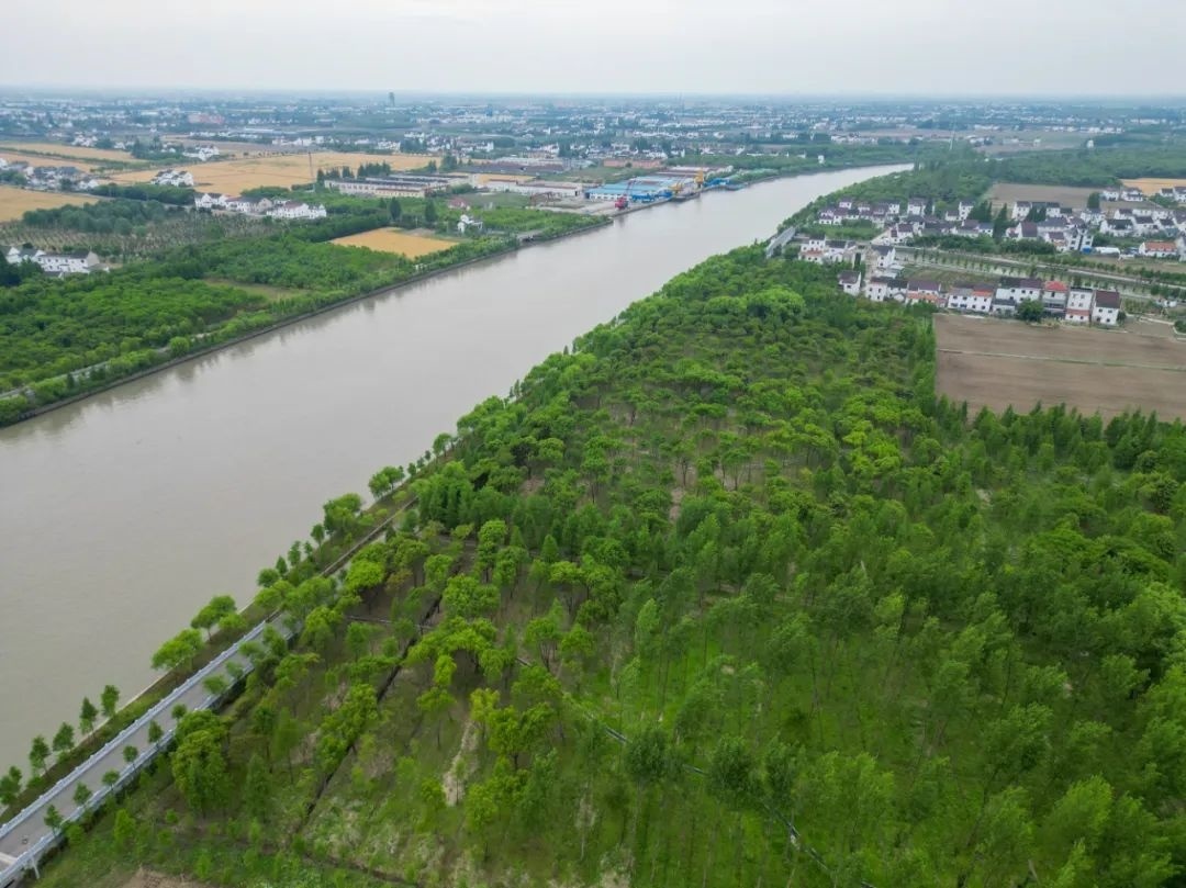 农业领域如何加强绿色低碳科技应用