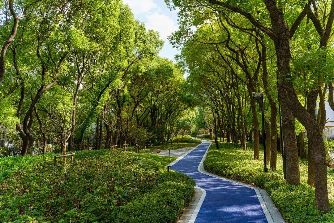 农业领域如何加强绿色低碳科技应用