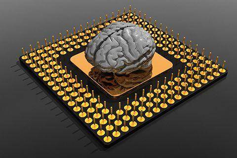 人工智能神经网络创建虚拟动物模型 揭示大脑如何控制复杂运动