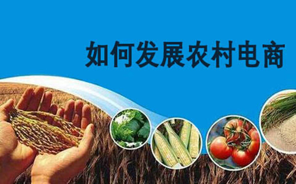 建设数字乡村不会一蹴而就