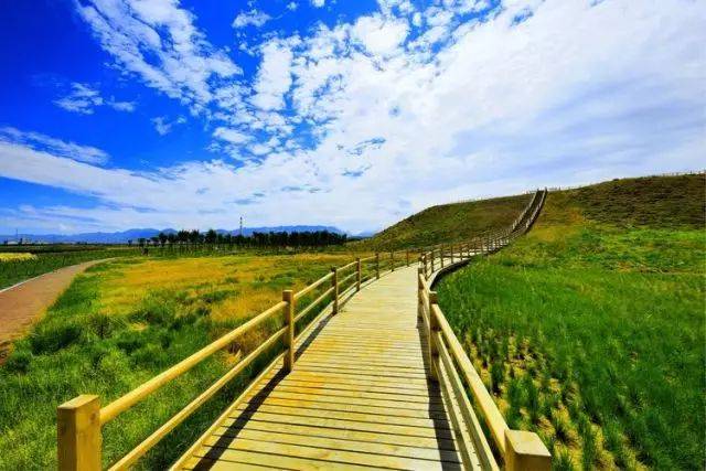 力促人类基因组编辑研究“向善而行”