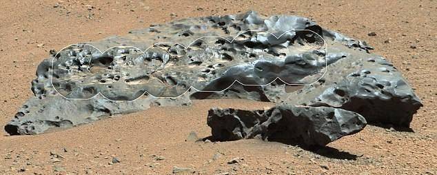 我科研人员发现可能在火星存活的植物