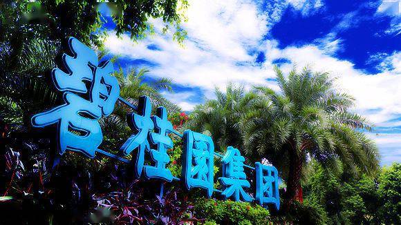 碧桂园仍未公布境外债务重组方案，曾表示9月完成条款清单拟定