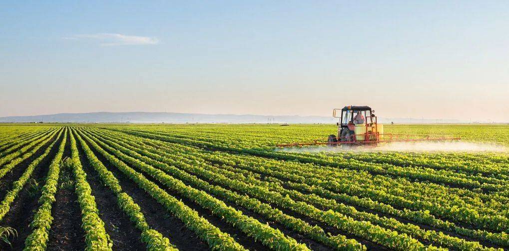 探秘河南“无人农场”:高科技“解锁”智慧种田