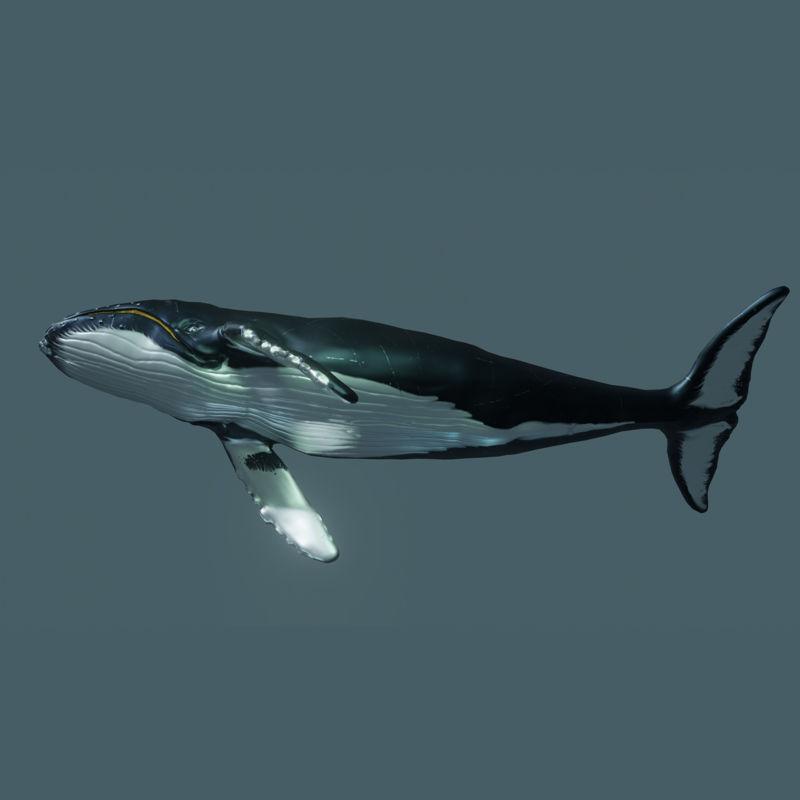 世界模型WHALE来了！