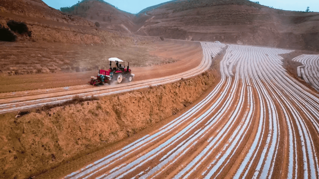 在“智慧农业+低空产业”创新发展推进会上，专家指出——低空经济正在改变农业生产面貌