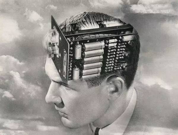 科学家成功解析大脑掌管学习记忆的“分子开关”