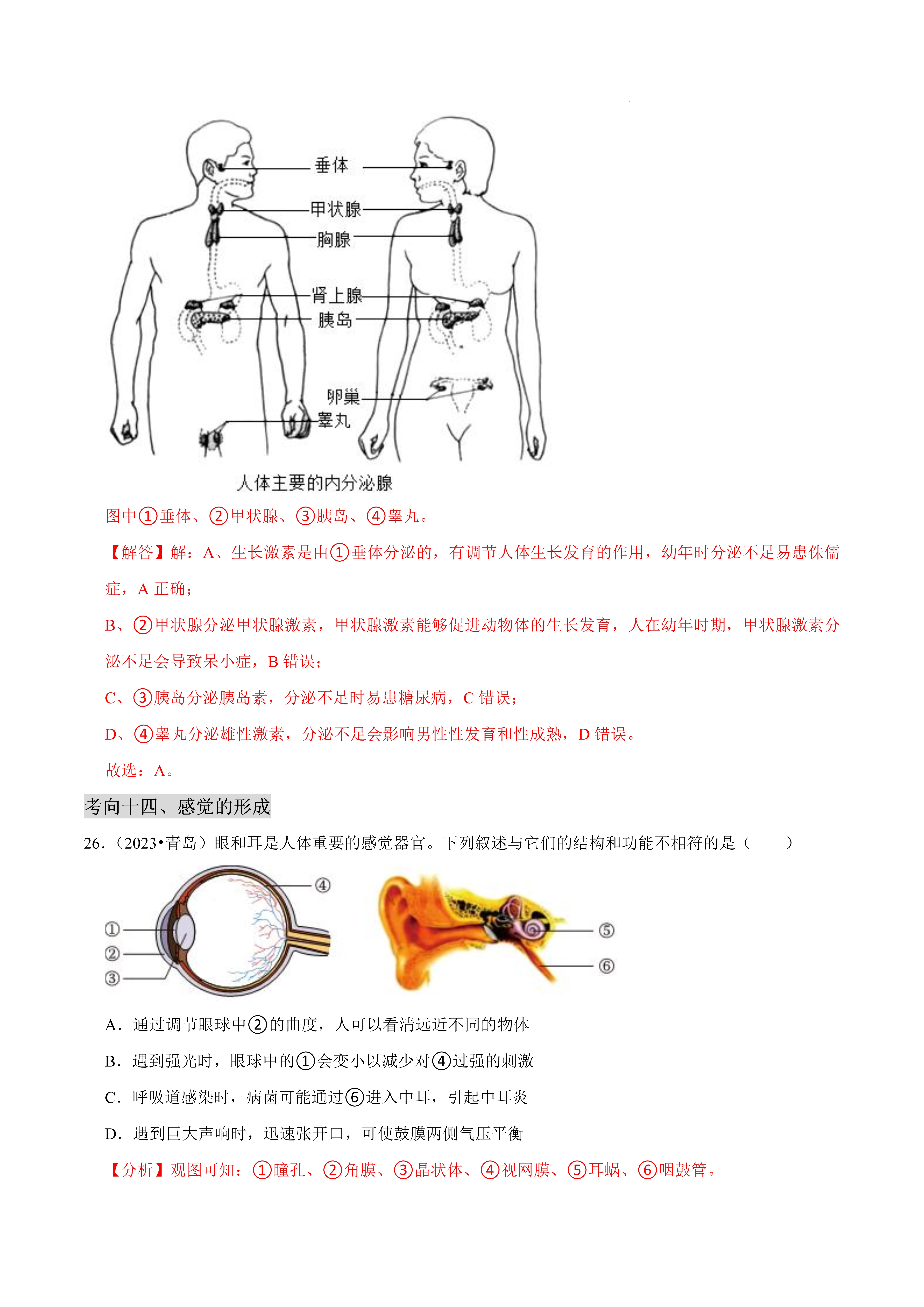 为大脑与脊髓搭建“新路” 我国科学家研发新技术助瘫痪病人恢复行走