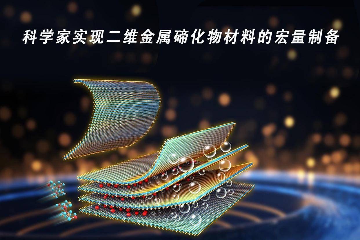 新华全媒+｜厚度仅为头发丝直径的二十万分之一！我国科学家成功制备单原子层金属