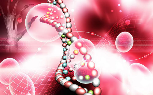 中国科学家成功“拼”出小麦完整基因组“拼图”
