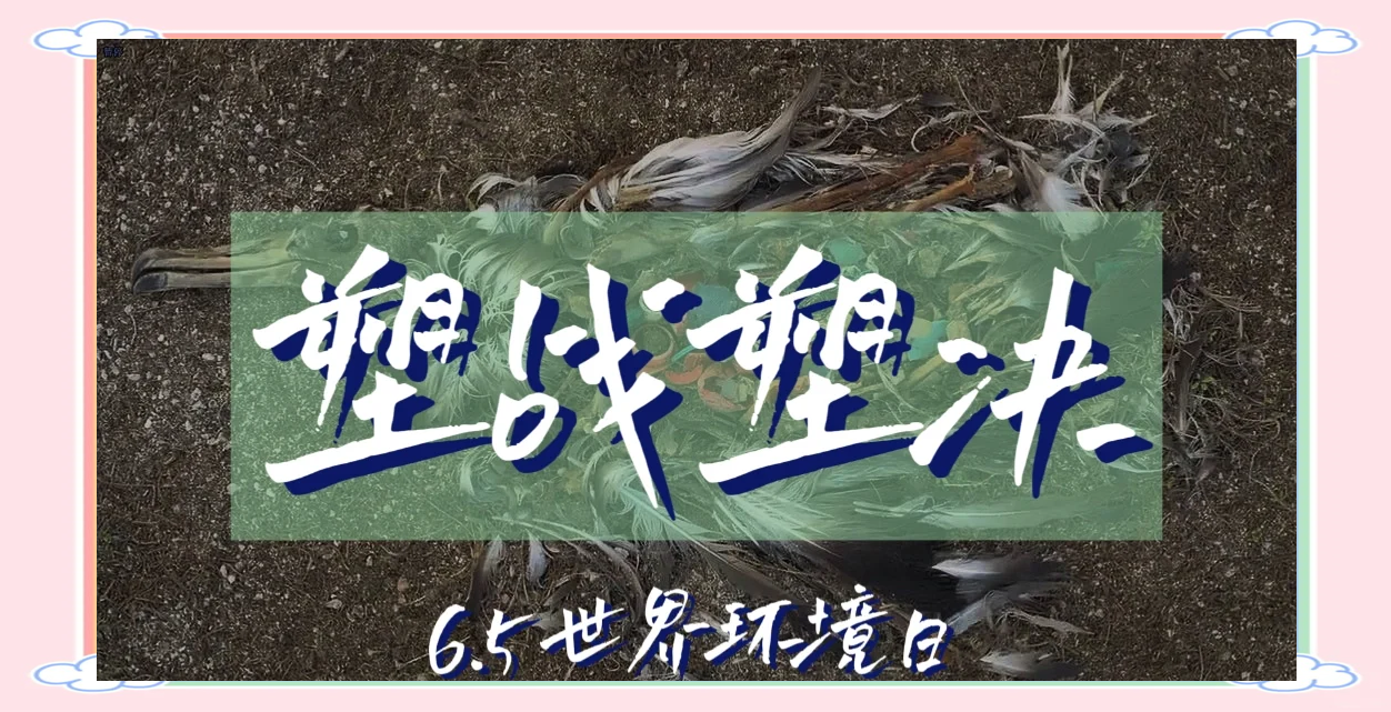 终结塑料污染，中国在行动！