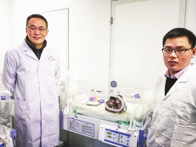 我科学家实现高效体细胞克隆