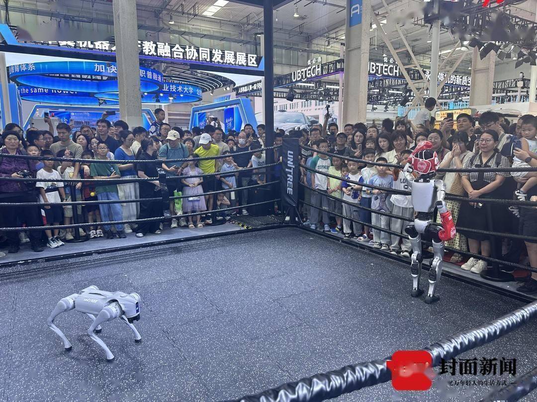 秀我中国｜在世界机器人大会遛“机器人娃”