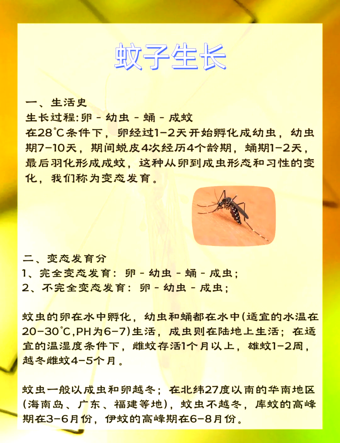 唠“科”话丨为啥蚊子总叮你？“招蚊”跟血型相关？