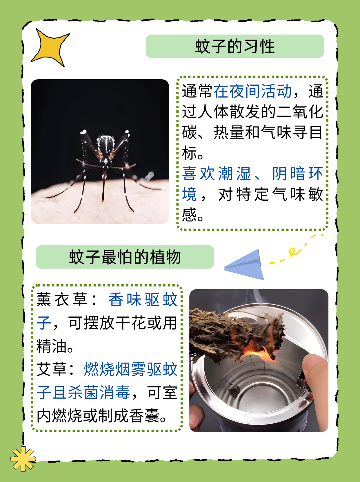 唠“科”话丨为啥蚊子总叮你？“招蚊”跟血型相关？