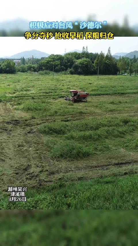 台风“三顾”带火浙江玉环 滨海小城如何承接这波热度?